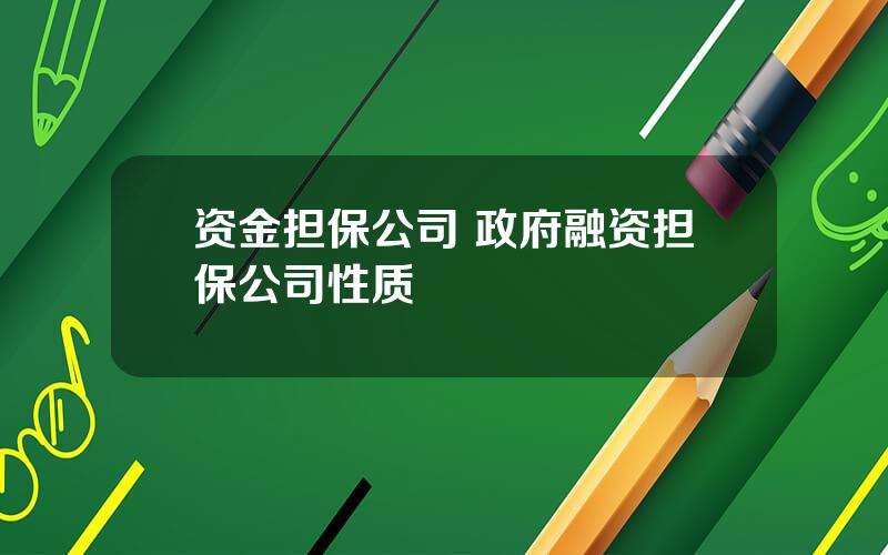 资金担保公司 政府融资担保公司性质